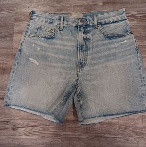 Everlane the Cheeky Shorts